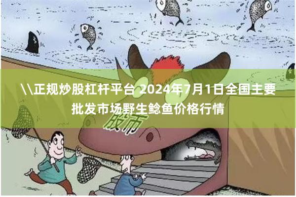 \正规炒股杠杆平台 2024年7月1日全国主要批发市场野生鲶鱼价格行情