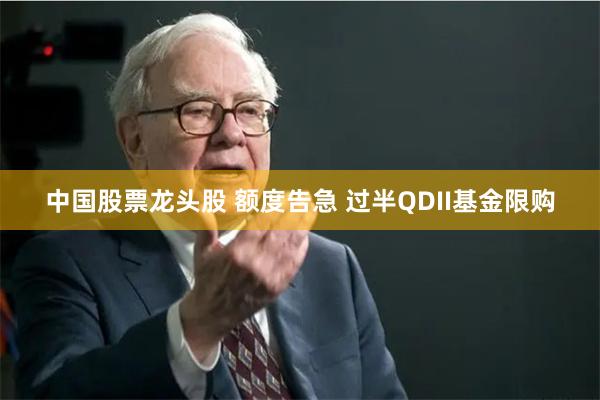 中国股票龙头股 额度告急 过半QDII基金限购