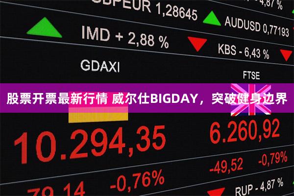 股票开票最新行情 威尔仕BIGDAY，突破健身边界