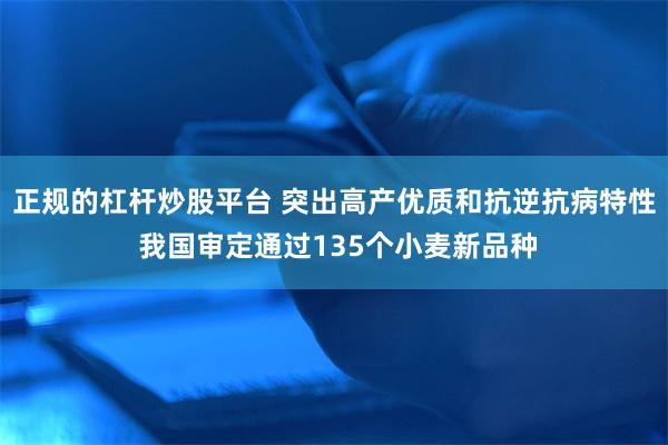 正规的杠杆炒股平台 突出高产优质和抗逆抗病特性 我国审定通过135个小麦新品种