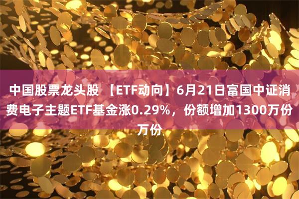 中国股票龙头股 【ETF动向】6月21日富国中证消费电子主题ETF基金涨0.29%，份额增加1300万份