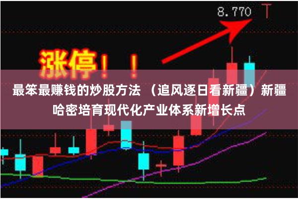 最笨最赚钱的炒股方法 （追风逐日看新疆）新疆哈密培育现代