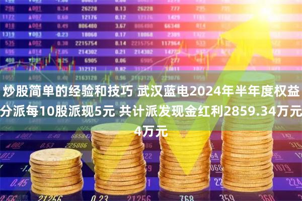 炒股简单的经验和技巧 武汉蓝电2024年半年度权益分派每