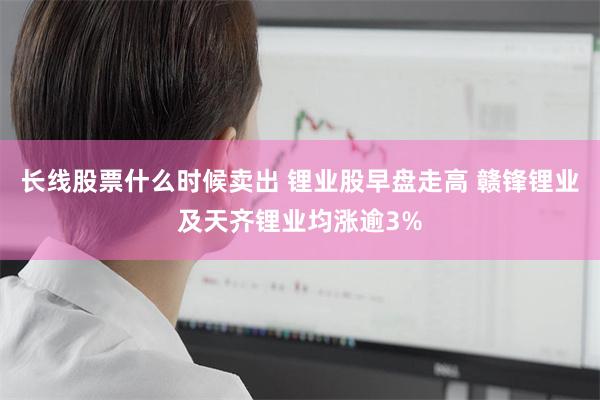 长线股票什么时候卖出 锂业股早盘走高 赣锋锂业及天齐锂业均涨逾3%